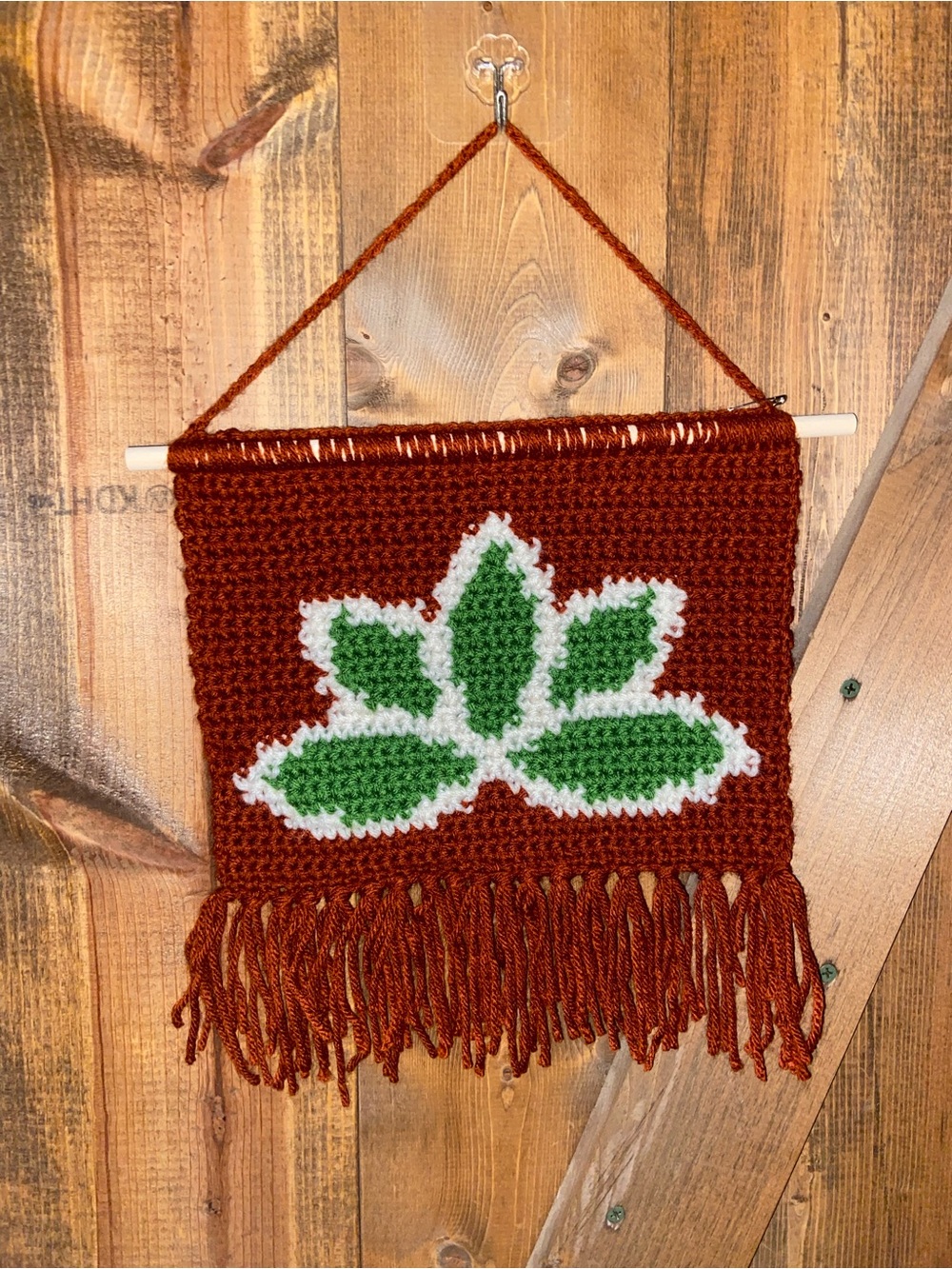 Handmade (BY ME!) Rust Crochet Wall Hanging with Green Leaf Motif